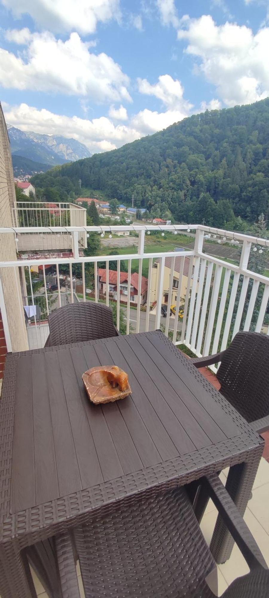 Апартаменты Duplex Belle View Sinaia-Free Parking Экстерьер фото