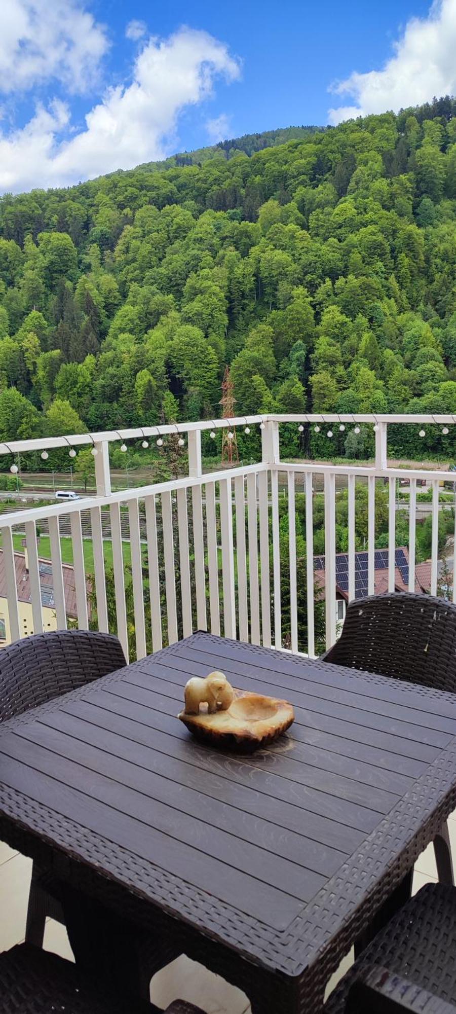 Апартаменты Duplex Belle View Sinaia-Free Parking Экстерьер фото