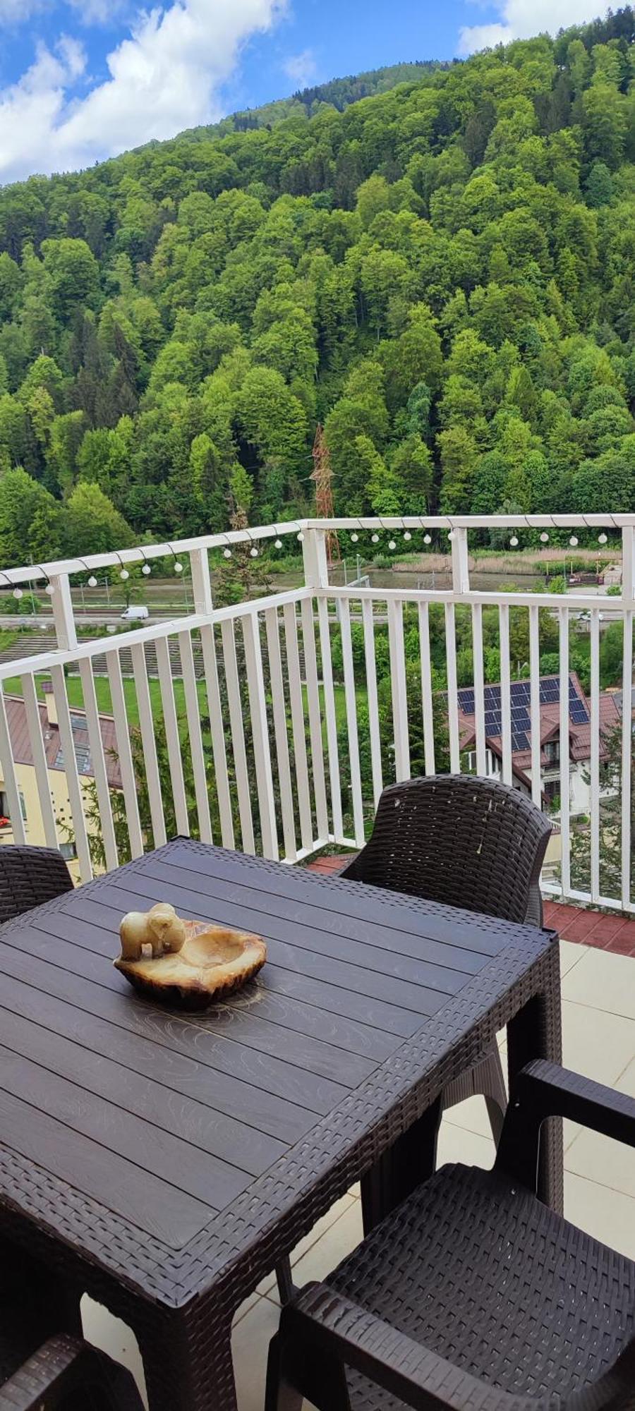 Апартаменты Duplex Belle View Sinaia-Free Parking Экстерьер фото