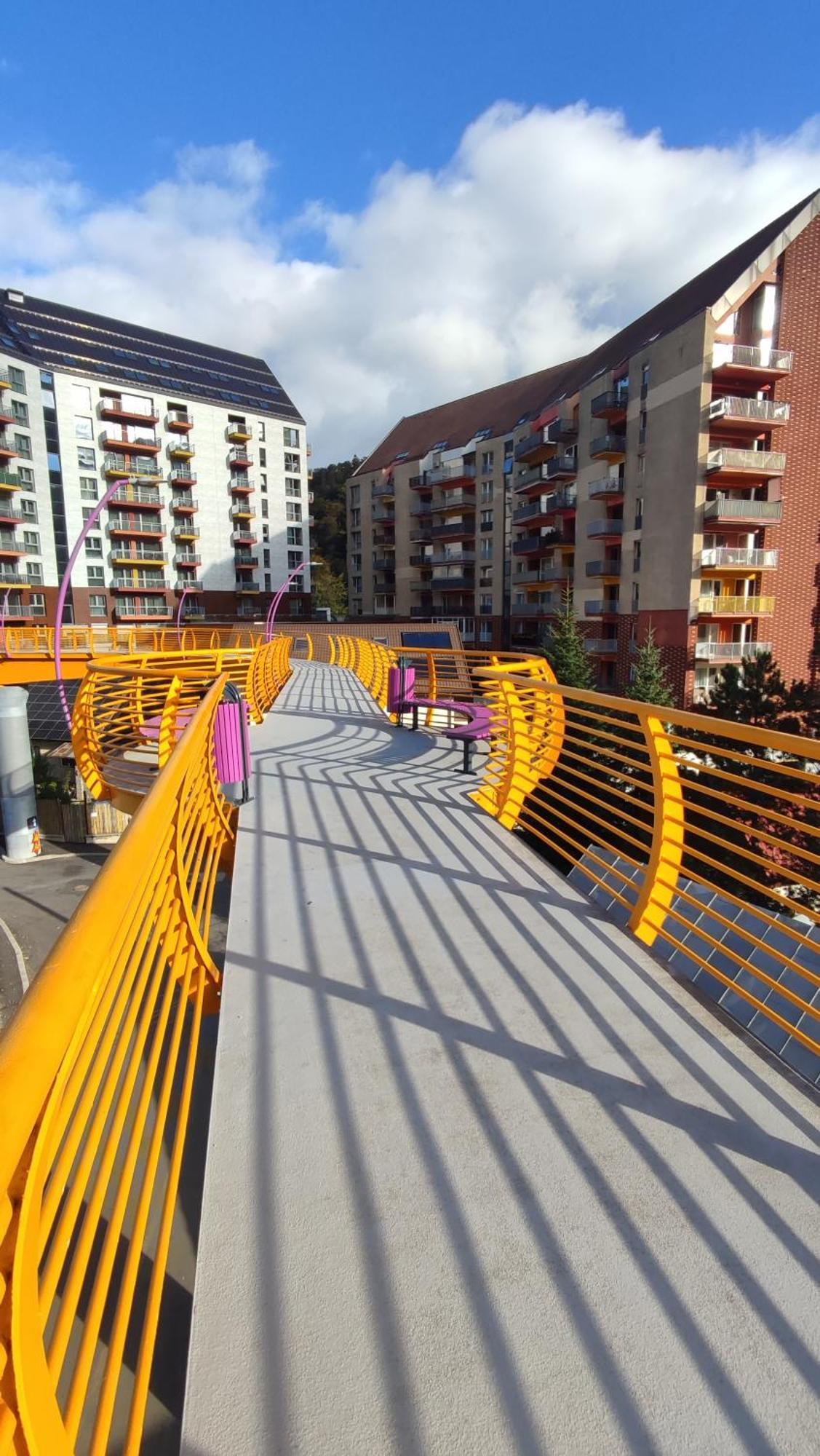 Апартаменты Duplex Belle View Sinaia-Free Parking Экстерьер фото